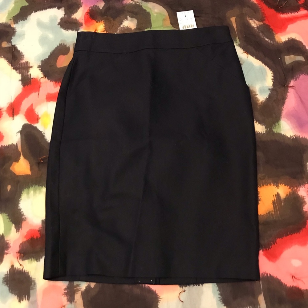 J Crew Skirt
